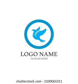 Dove bird logo vector design illustration