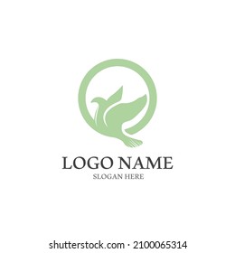 Dove bird logo vector design illustration