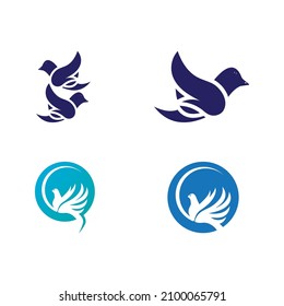 Dove bird logo vector design illustration