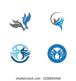 Dove bird logo vector design illustration