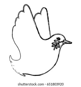 Dove the bird of peace