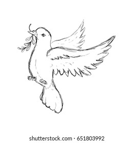 Dove the bird of peace