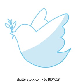 Dove the bird of peace