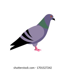 Dove. Bird side view. Vector illustration.