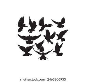 Dove Bird Silhouettes, art vector design
