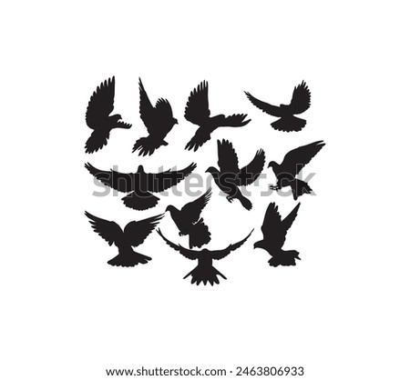 Dove Bird Silhouettes, art vector design
