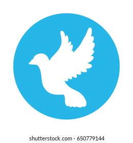 Dove bird symbol