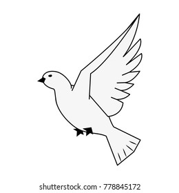 Dove bird symbol