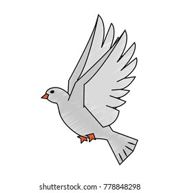 Dove bird symbol