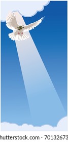 dove carries an olive branch. vertical blue background. vector image