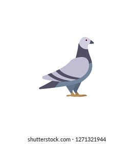 dove cartoon icon
