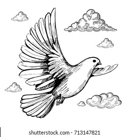 Dove with clouds. Sketch vector illustration