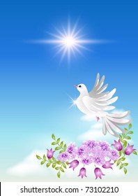 Dove in the clouds and sunshine