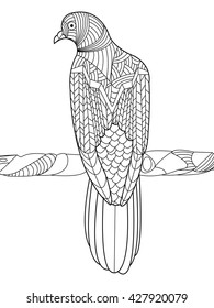 Dove coloring book for adults vector illustration. Anti-stress coloring for adult. Zentangle style. Black and white lines. Lace pattern