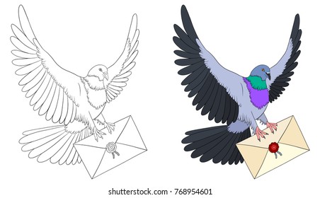 Dove coloring book with an example of coloring. Bird isolated on white. Pigeon flying with love letter in claws.