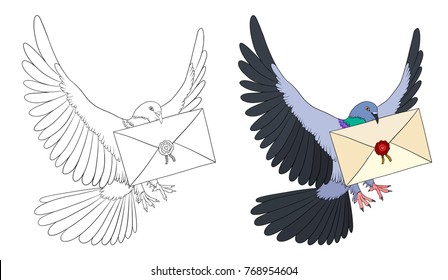 Dove coloring book with example of coloring. Bird isolated on white. Pigeon flying with letter in beak.