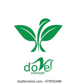 dove concept 6