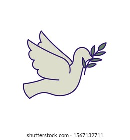 Dove design, Bird animal peace freedom nature pigeon hope love and religion theme Vector illustration