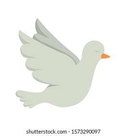 Dove design, Bird animal peace freedom nature pigeon hope love and religion theme Vector illustration