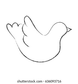 dove drawing isolated icon