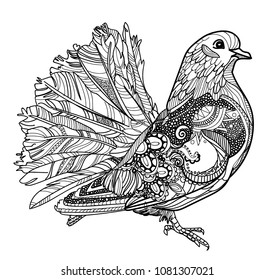 Dove. Ethnic pattern. Meditative coloring. Mandala, dudling drawing. Drawing from the hand. Points, stripes, arrows, flowers.