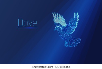 a dove flaps its wings or flies. A pigeon is a symbol of peace. rays of light fall on him, illuminating the bird.plexus,dots,wireframe,vector illustration,triangle,eps 10,dark-blue background
