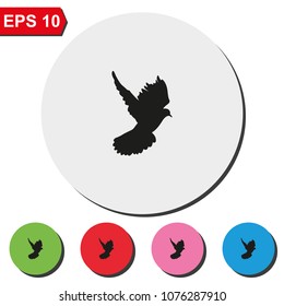 Dove flat round colorful vector icon.