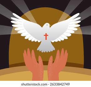 dove flies out of a man's hands. Christian symbol