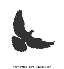 Dove flies. Symbol bird isolated on white background. Vector illustration.