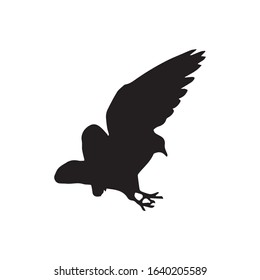 dove in flight silhouettes.   Pigeon  vector icon