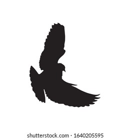 dove in flight silhouettes.   Pigeon  vector icon