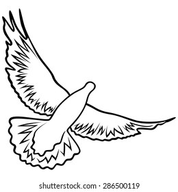 Dove in flight with widely outstretched wings, outline vector illustration