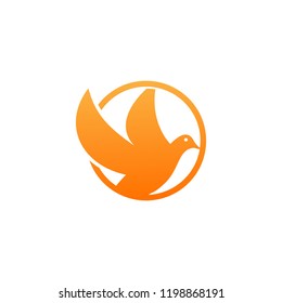 dove fly peace bird vector