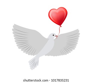 Dove flying with balloon of heart shape, symbol of eternal and pure love, lasting forever, Valentines day poster, isolated on vector illustration