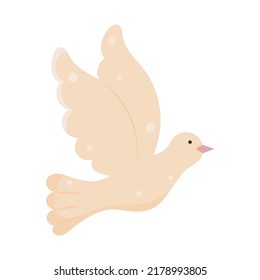 dove flying on white background