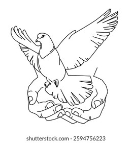 Dove flying from open hands Line art drawing, symbolizing peace, freedom, and hope as well as the holiday of Pentecost. Suitable for use in religious, spiritual,and humanitarian design projects.Vector