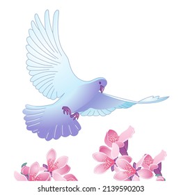 Dove is flying over magnolia blossom