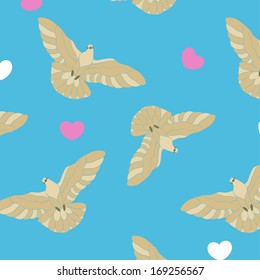 dove flying pattern