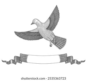 Dove flying in the sky with banner. Vintage engraving drawing style illustration