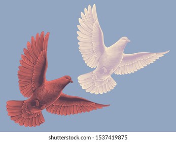 Dove flying in the sky. Design set. Hand drawn engraving. Editable vector vintage illustration. Isolated on color background. 8 EPS 