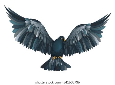 Dove in free flight. Isolated vector on white background. 