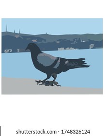 
Taubengrafik-Studie am Meer