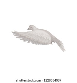 Dove With Gray Feathers In Flying Action. Bid In The Air. Fauna And Ornithology Theme. Flat Vector Icon