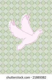 dove with green olive background
