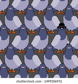 Dove grey pattern seamless. pigeon background. City bird vector texture
