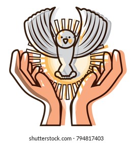 dove in a hands