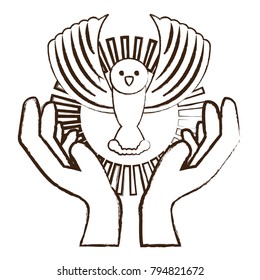 dove in a hands