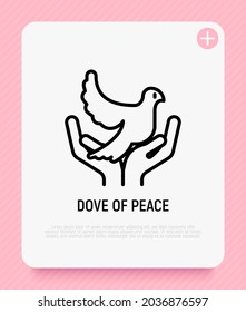 Dove in hands thin line icon. Modern vector illustration of peace symbol.