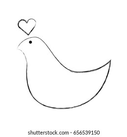 dove with heart love card