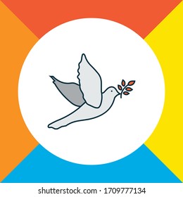 Dove icon colored line symbol. Premium quality isolated pigeon element in trendy style.